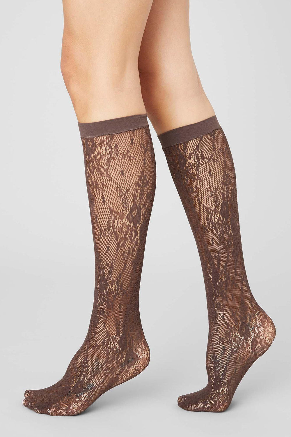 Rosa Lace Knee-Highs, Dark Brown