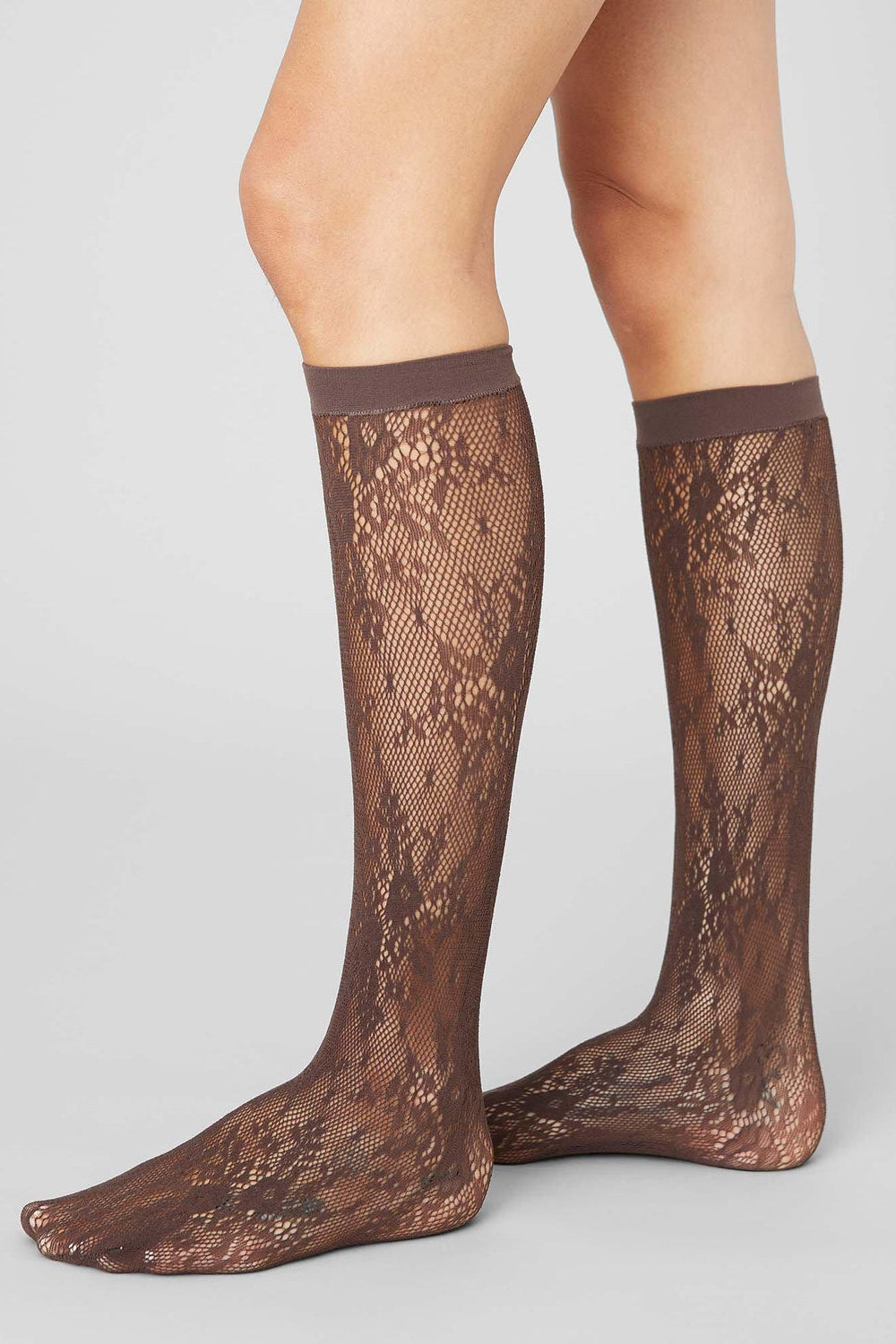 Rosa Lace Knee-Highs, Dark Brown