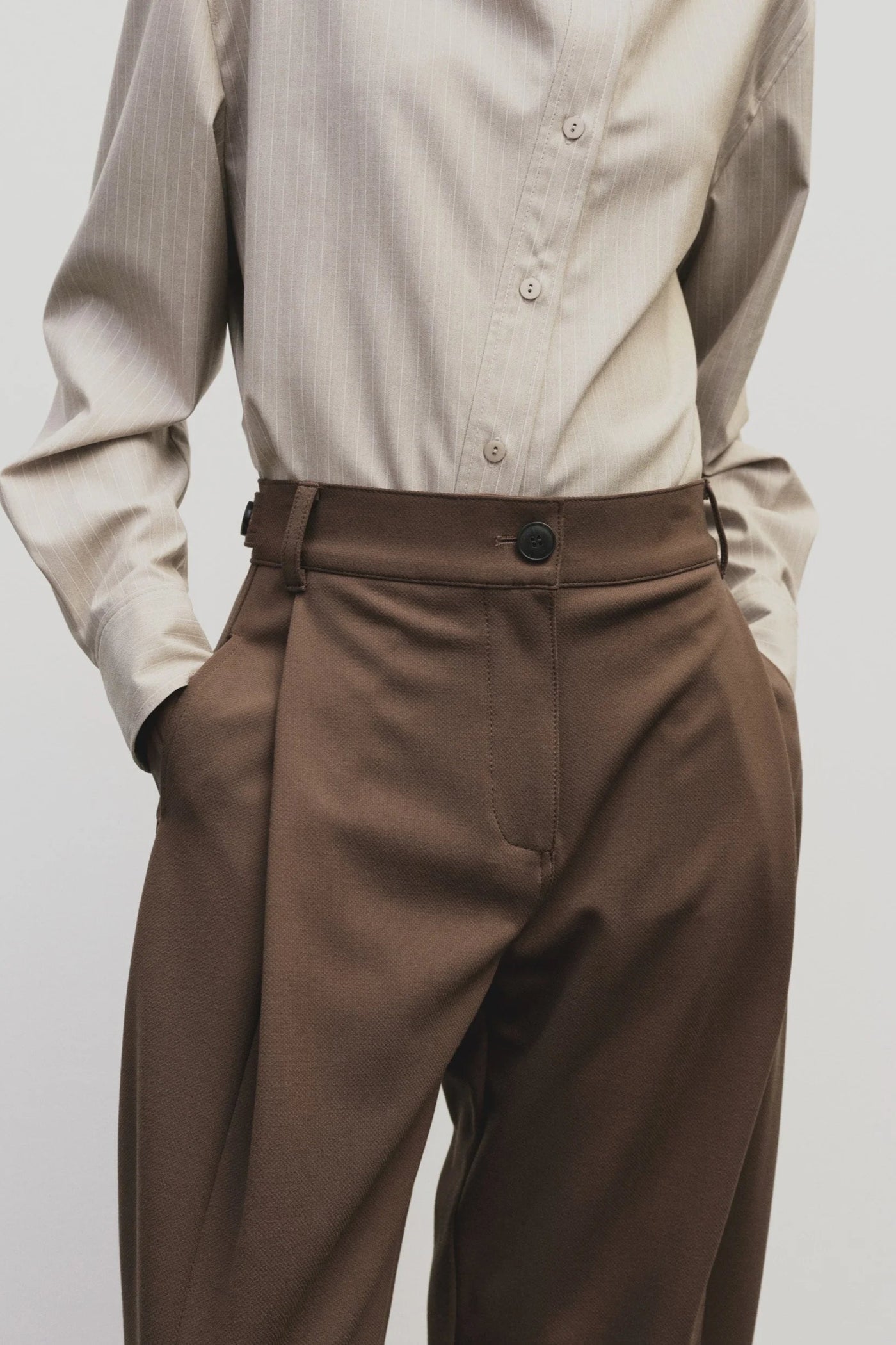 Pleated Barrel Leg Pants, Brown