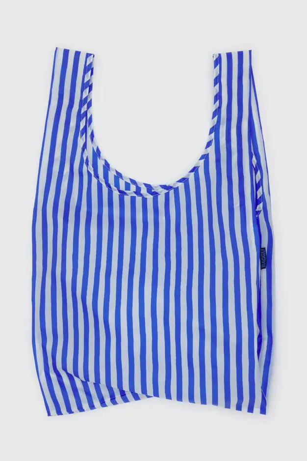 Standard Baggu, Blue Painted Stripe