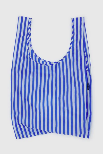 Standard Baggu, Blue Painted Stripe