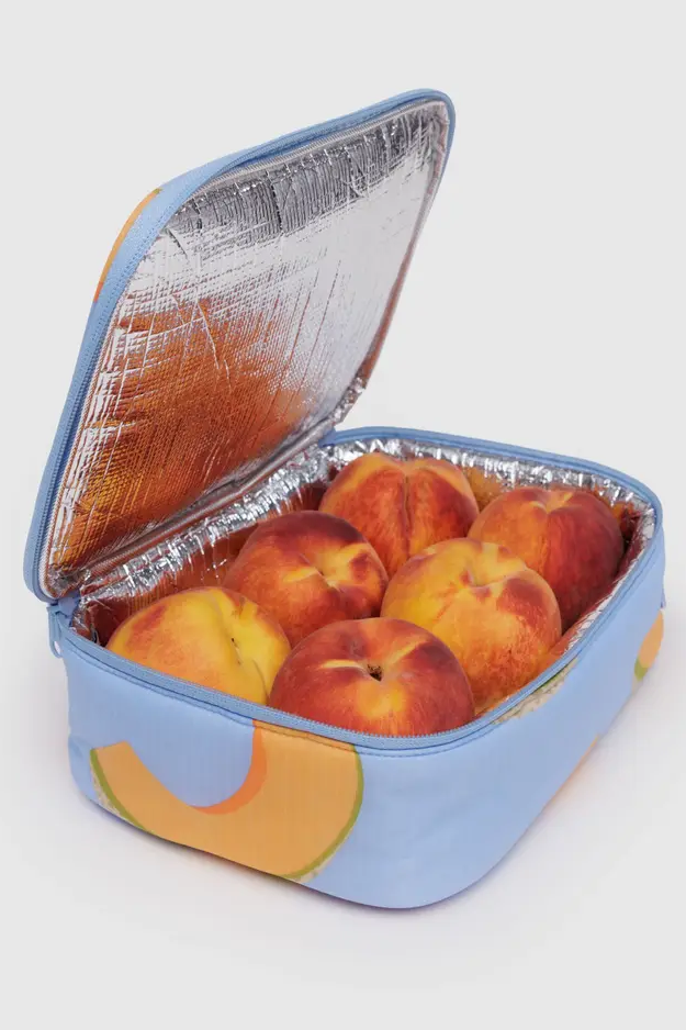 Lunch Box, Cantaloupe Blue