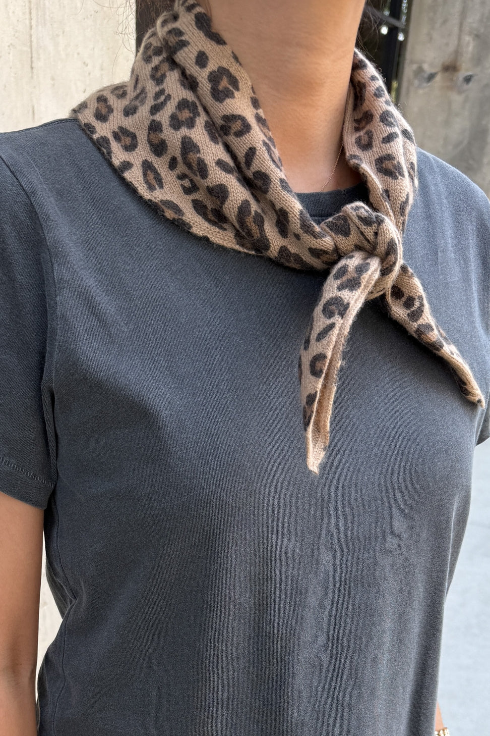 Cashmere Bandana, Leopard