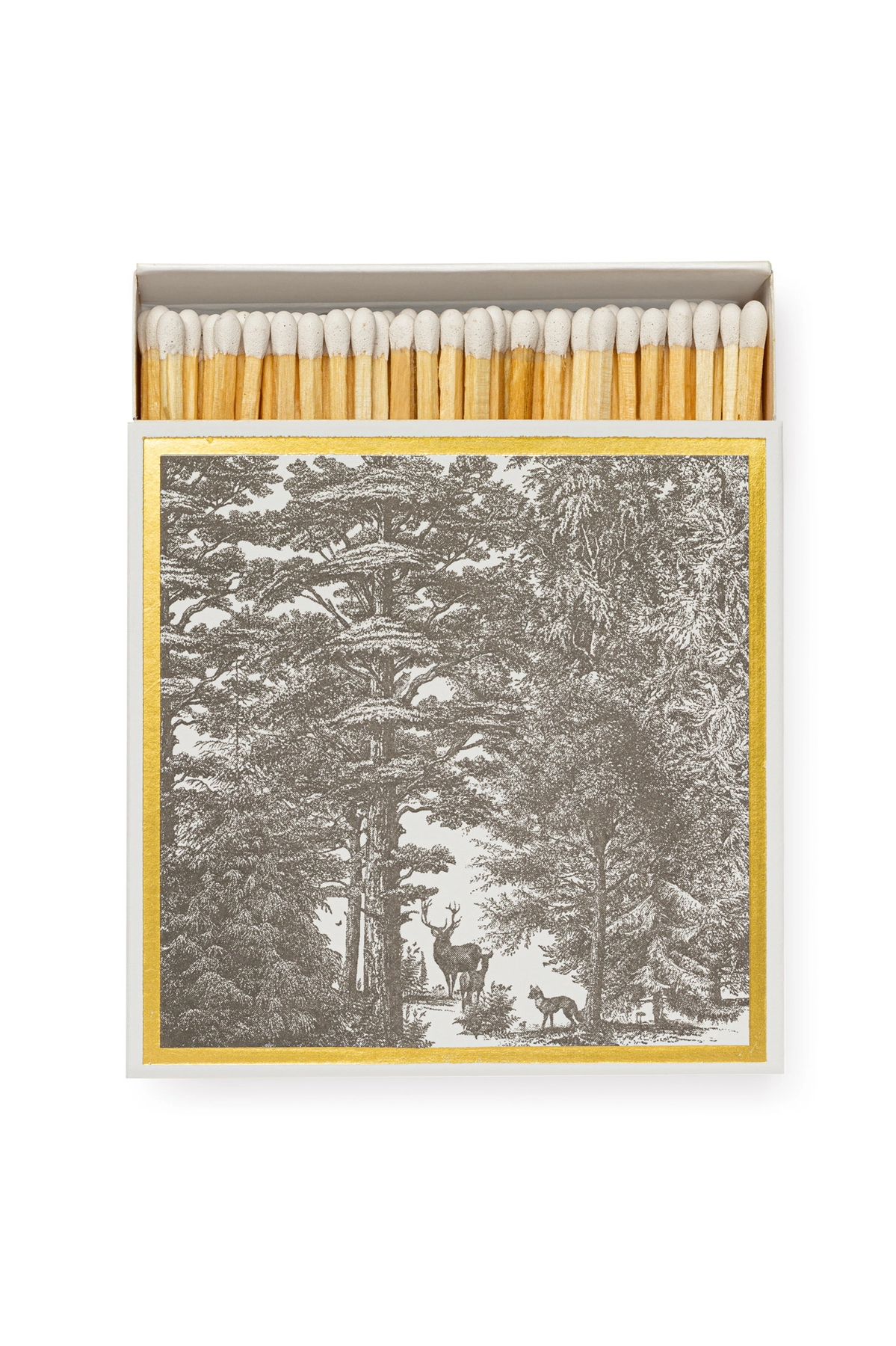 The Enchanted Forest Safety Matches