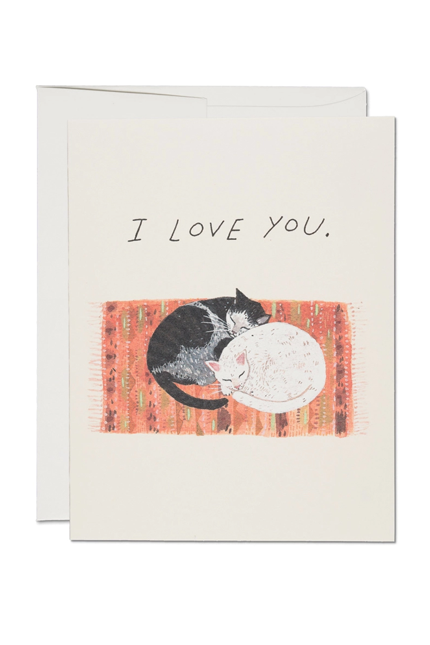 Cat Cuddle Valentine's Greeting Card